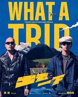出去一下 What A Trip