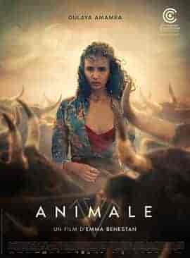 兽性 Animale
