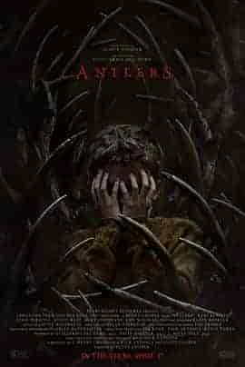 鹿角 Antlers
